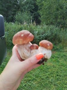 «Долгозерье» _8_desc