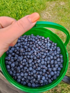 «Долгозерье» _7_desc