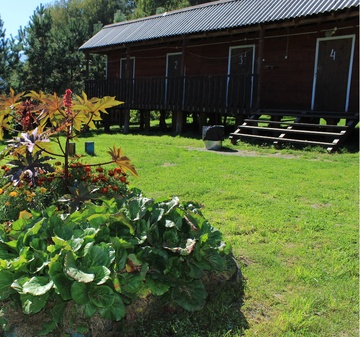 Спортивно-туристическая база «Фанат» Алтайский край 4-местный номер в Общем корпусе