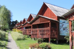 «Фанат»_2_desc