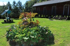 «Фанат»_5_desc