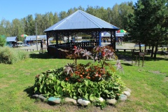 «Фанат»_6_desc