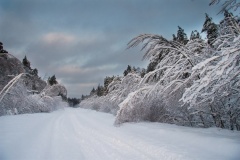 «Мещерский городец»_10_desc