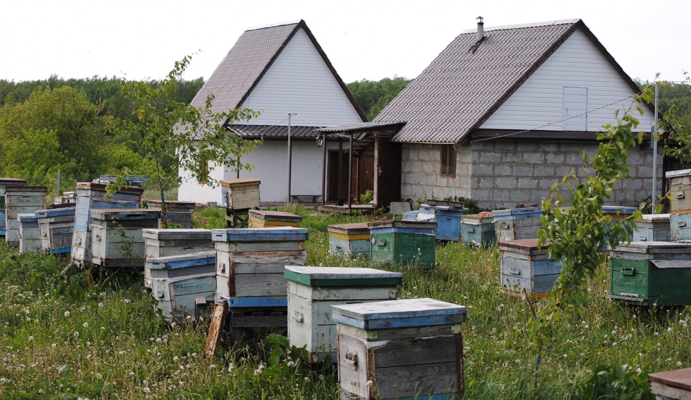 Турбаза пасека Лопатиных