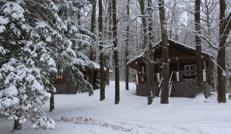 Парк-отель «Just Wood» Тульская область 