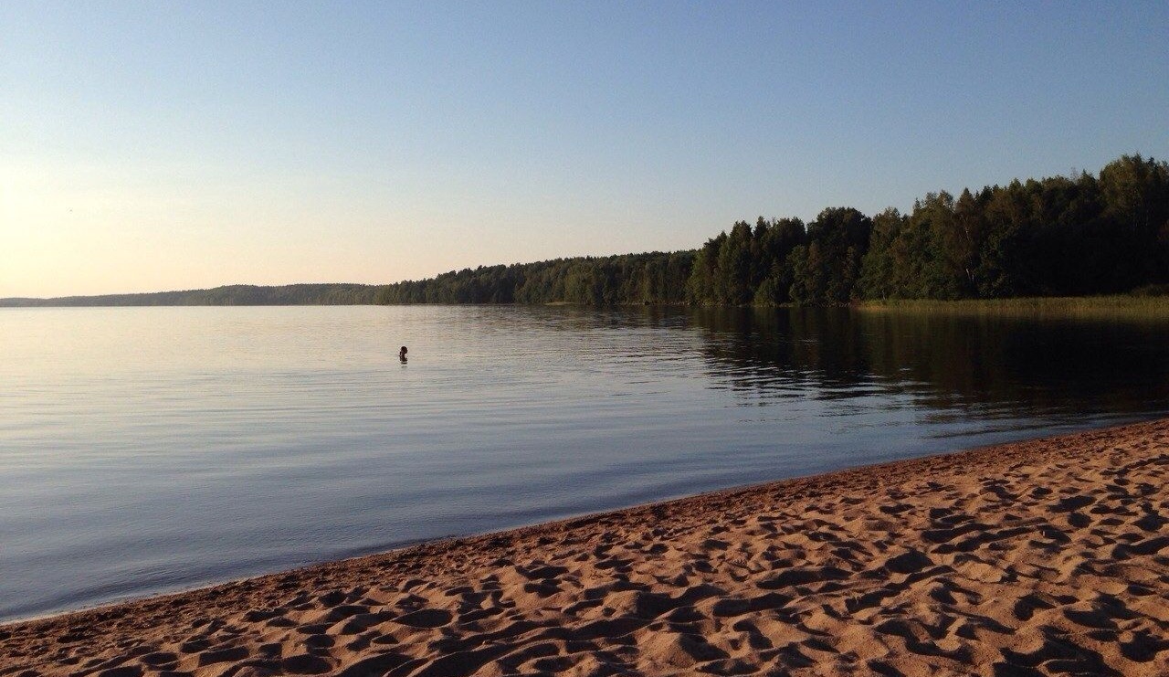 Пионерское озеро ленинградская область