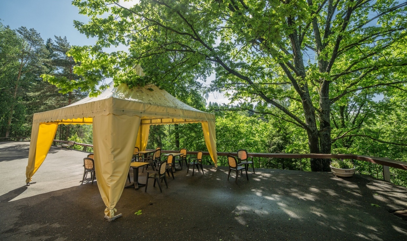 пансионат солнечный в звенигороде