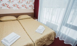 Загородный гостиничный комплекс СПА-отель «Michur Inn» Ленинградская область Номер «Комфорт», фото 4_3