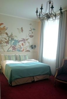  Отель «Residence Hotel & SPA» Ленинградская область Стандарт, фото 2_1