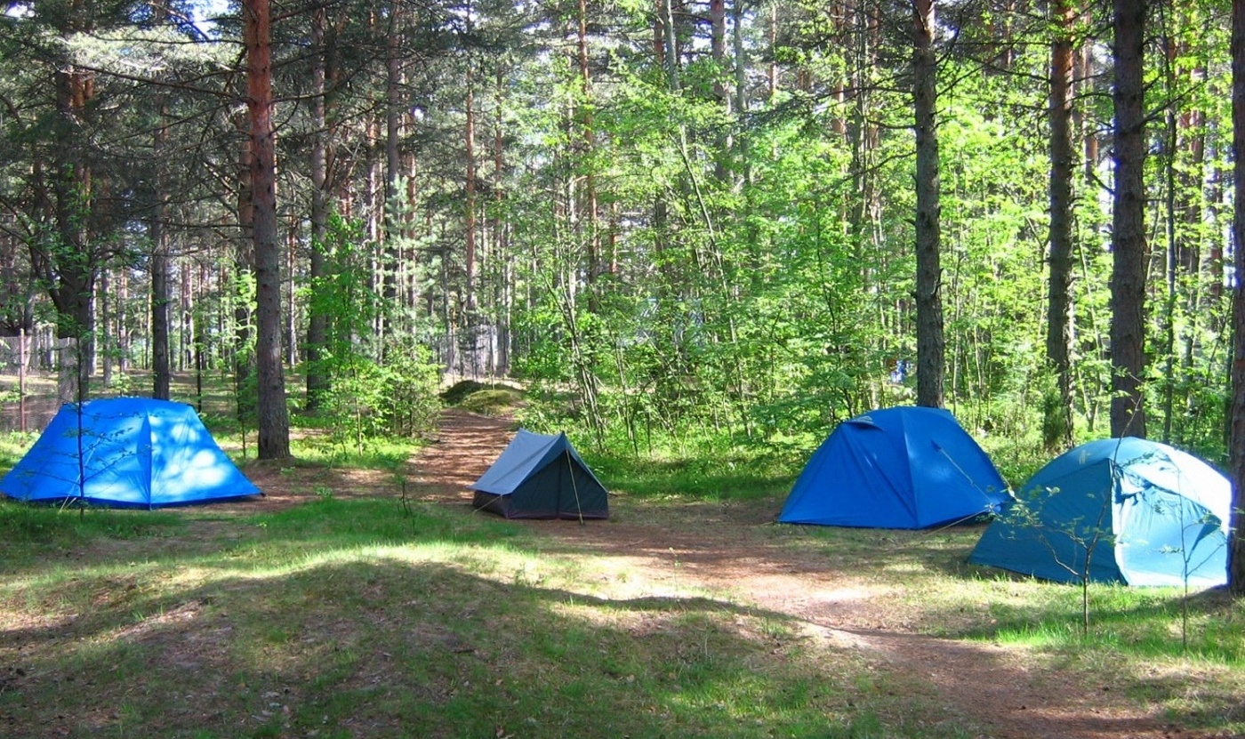 Кемпинги рядом. Турбаза Лосево палаточный лагерь. Палаточный лагерь на Вуоксе. Шира Сосновый Бор палаточный лагерь. Лосево Приозерский район с палатками.
