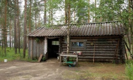 Лесные избушки «Замки»_11_desc