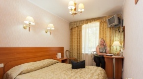  «АМАКС Парк-отель» Тамбовская область Номер «Стандарт» с двуспальной кроватью