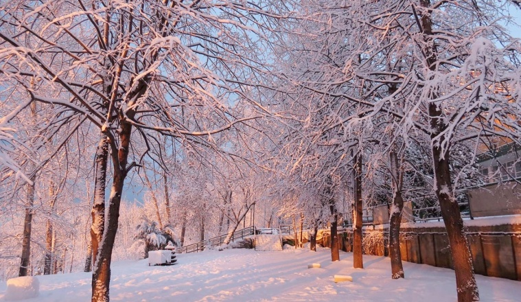 Гостиничный комплекс «Парк Отель» Самарская область 