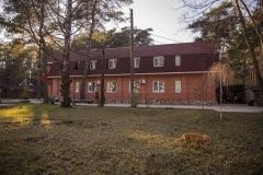 «Сосновый бор»_2_desc