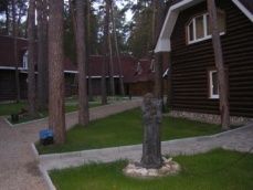 «Сосновый бор»_9_desc