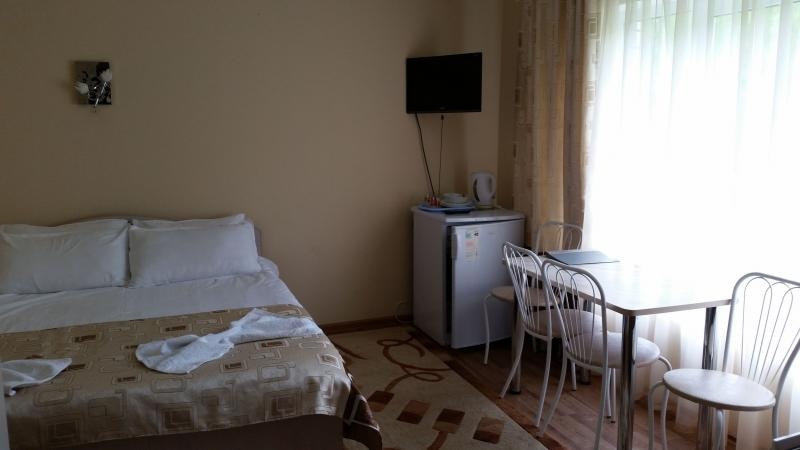 База отдыха «Усадьба жемчужина» Алтайский край Люкс