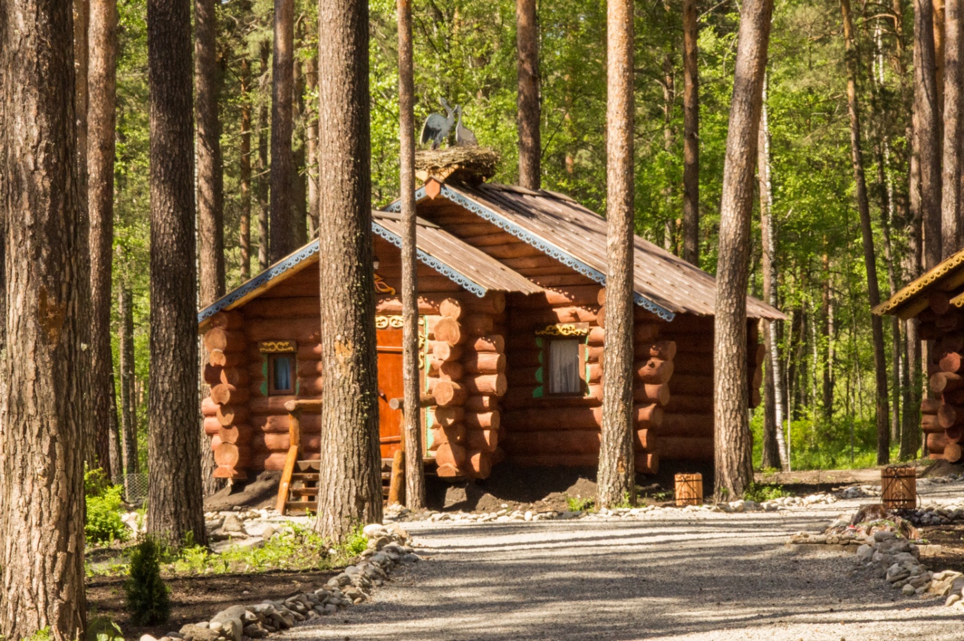 Турбаза Катунь горный Алтай