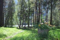 «Корогон»_9_desc