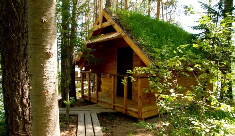  Хутор «Кедровый» Алтайский край 