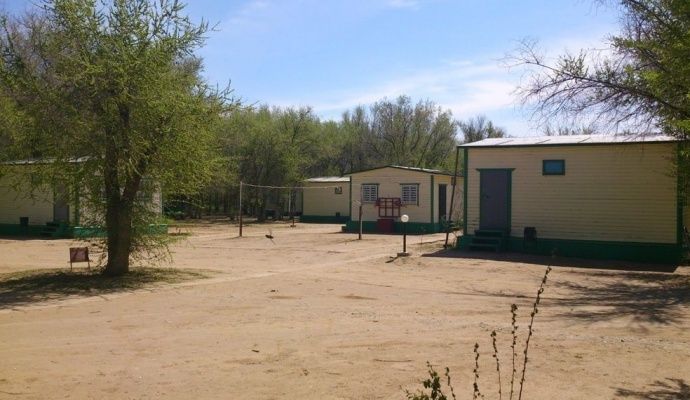 «Золотой плав»