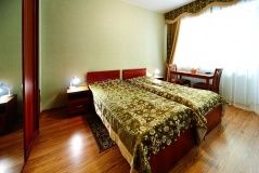 Санаторий «Родник» Ставропольский край «Стандарт Твин»