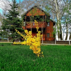 «Семейный дворик»_8_desc