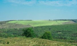 «Зелёные холмы»_25_desc