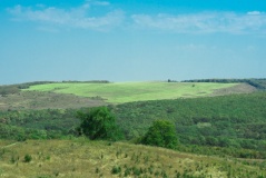 «Зелёные холмы»_31_desc