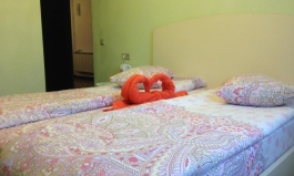 Мини-отель «Успенка» Московская область Номер «Стандарт» с одной кроватью, фото 4_3