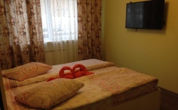 Мини-отель «Успенка» Московская область Номер «Стандарт» с одной кроватью
