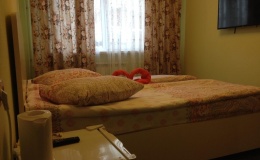 Мини-отель «Успенка» Московская область Номер «Стандарт» с одной кроватью, фото 2_1