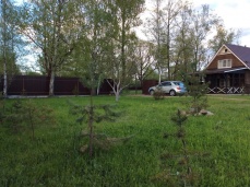 «New House»_2_desc