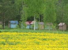 Экоферма «Серебрянка»_6_desc