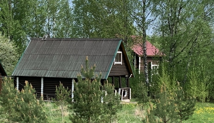 База отдыха «Валдайская»
Новгородская область