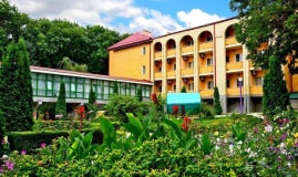 Санаторий “Лесной”_2_desc