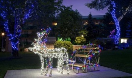 Санаторий “Лесной”_5_desc