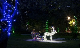 Санаторий “Лесной”_7_desc