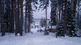 «Лесной двор»_24_desc