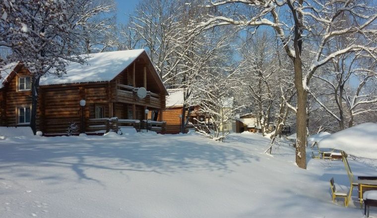 База отдыха «Дивноречье» Воронежская область 