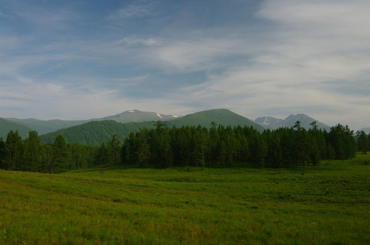 Турбаза «Кедровая опушка» Республика Алтай,
 фото
 отзыв 2
