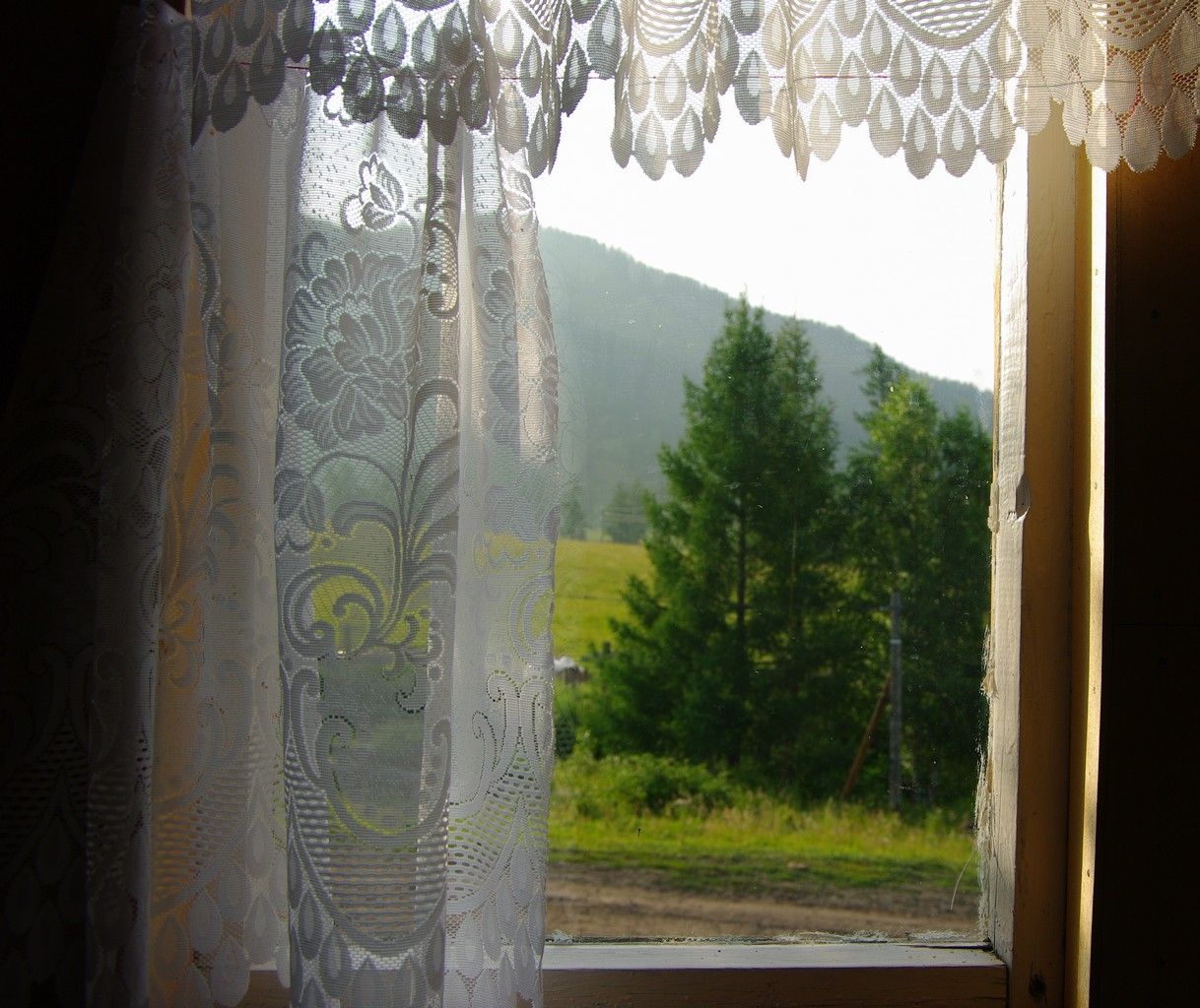 Турбаза «Кедровая опушка» Республика Алтай,
 фото
 отзыв 3