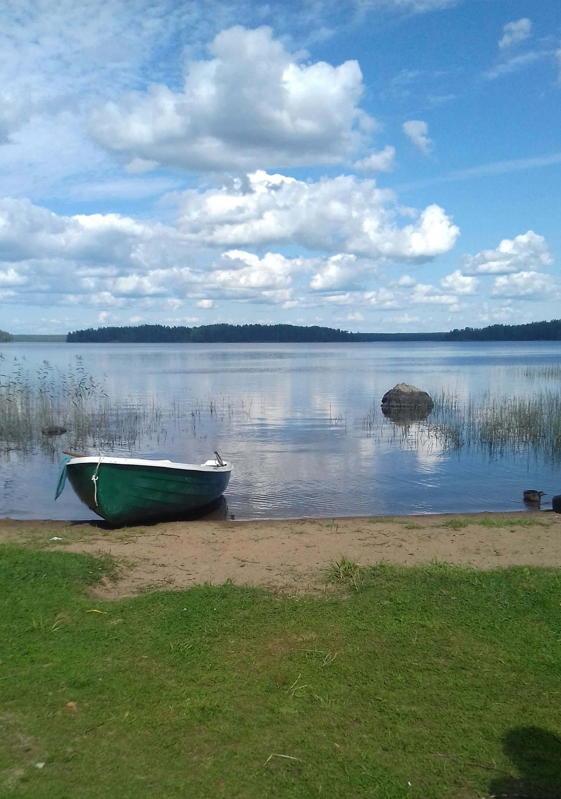 База отдыха «Карелия» Республика Карелия,
 фото
 отзыв 2