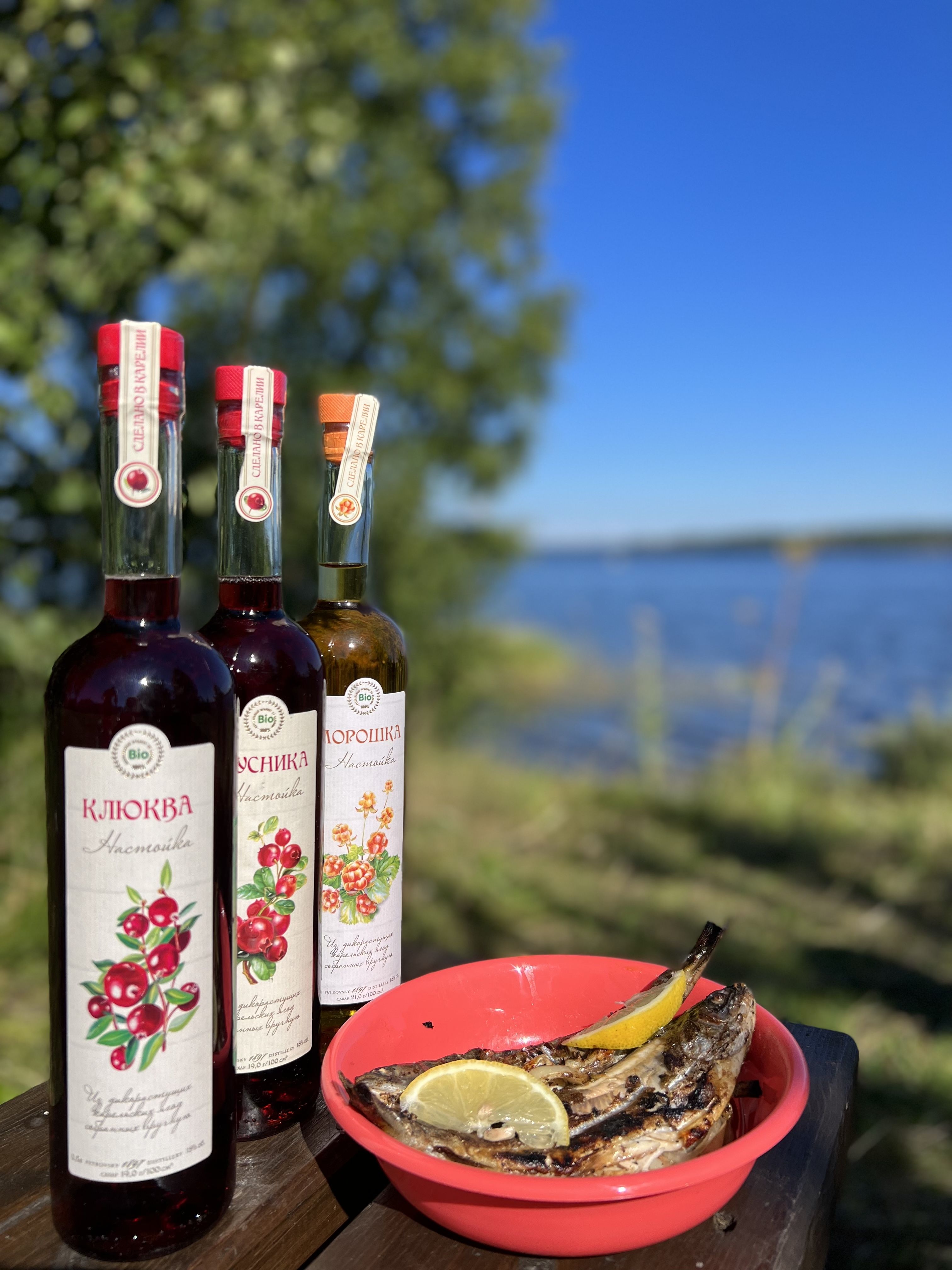 База отдыха «Карелия» Республика Карелия,
 фото
 отзыв 3