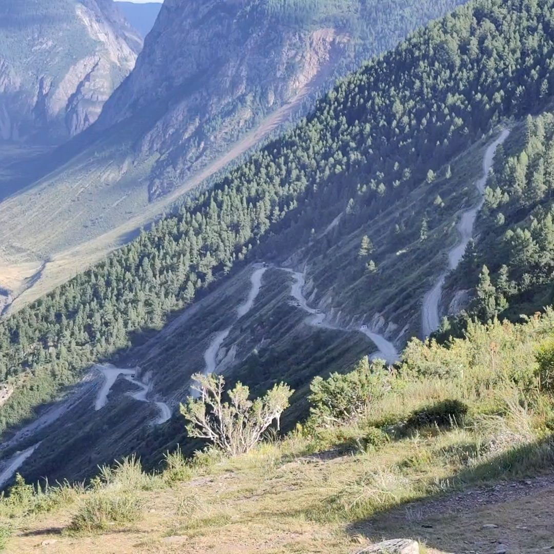 База отдыха «Чуйская долина» Республика Алтай,
 фото
 отзыв 3