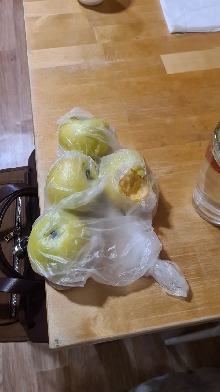 База отдыха «Тихий берег» Республика Алтай,
 фото
 отзыв 4